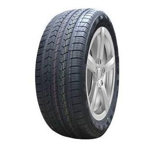 225/65 R17 Doublestar DS01 102T